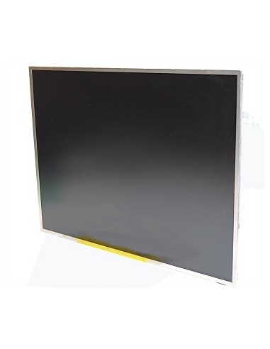 DISPLAY LED 10.1" (M101NWT2)