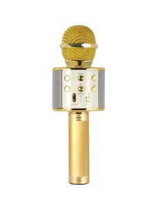 MICROFONO KARAOKE HOLLYWOOD ORO (27837K)
