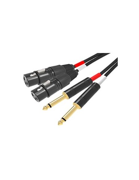 CAVO AUDIO 2 X XLR F / 2 X 6.3MM - 3MT (RDM C93)
