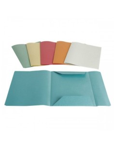 CARTELLE 3 LEMBI GR.220 (50 PEZZI) - VARI COLORI