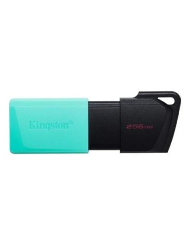 PEN DRIVE 256 GB DATATRAVELER EXODIA M USB 3.2 GEN1 (DTXM/256GB)