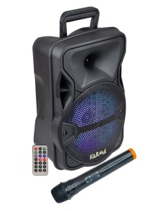 CASSA AUDIO AMPLIFICATO LX 8 300 WATT CON RADIOMICROFONO