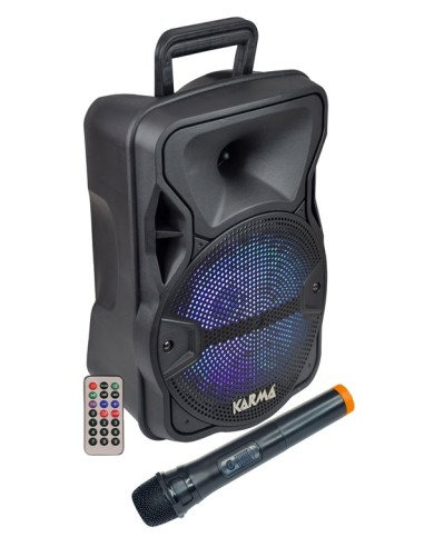 CASSA AUDIO AMPLIFICATO LX 8 300 WATT CON RADIOMICROFONO