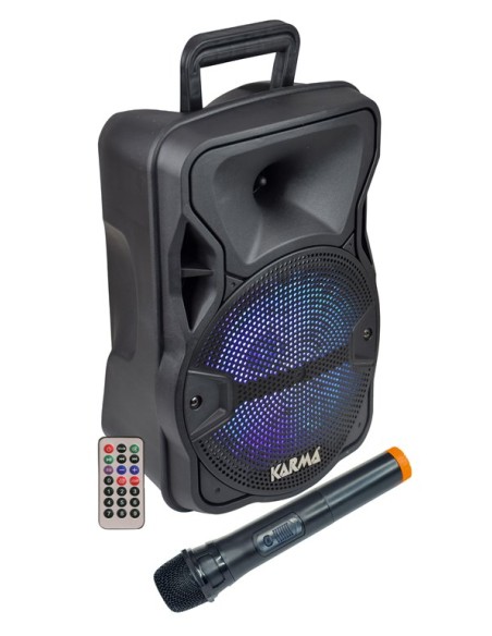 CASSA AUDIO AMPLIFICATO LX 8 300 WATT CON RADIOMICROFONO