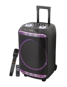 CASSA AUDIO DIFFUSORE AMPLIFICATO UNITY 80 - 300 WATT CON RADIOMICROFONO
