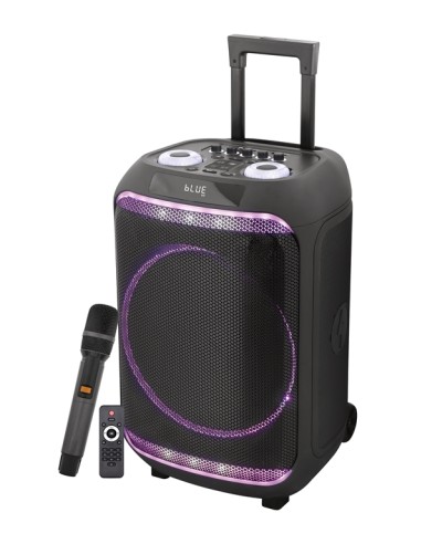 CASSA AUDIO DIFFUSORE AMPLIFICATO UNITY 80 - 300 WATT CON RADIOMICROFONO