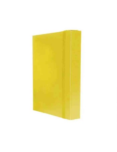 RACCOGLITORE PORTAPROGETTI CON ELASTICO DORSO 3 GIALLO