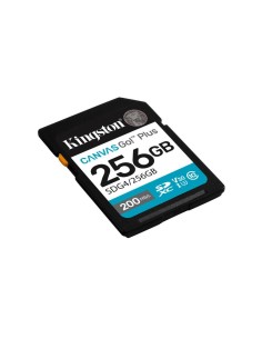 SECURE DIGITAL 256 GB CANVAS GO PLUS (SDG4/256GB) CLASS10 UHS-I U3 V30