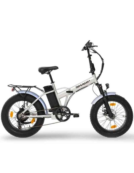 BICI ELETTRICA CON PEDALATA ASSISTITA BK-FM01-ES - RUOTE 20" - 250W - SILVER
