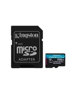 TRANS FLASH 256 GB CANVAS GO PLUS (SDCG4/256GB) CLASS 10 CON ADATTATORE